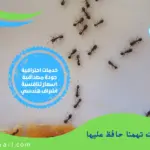 ‏10 طرق مزهلة وفعاله للقضاء على النمل