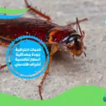 ‏8 طرق فعاله جداً للقضاء على الصراصير فى المنزل