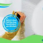 إليكِ الطرق الفعالة لتنظيف منزلك