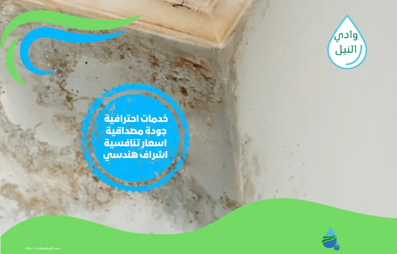 افضل شركات كشف تسرب الماء بالرياض