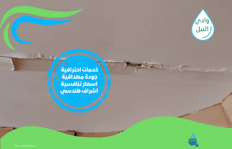 أرقام افضل شركات كشف تسرب الماء بالرياض