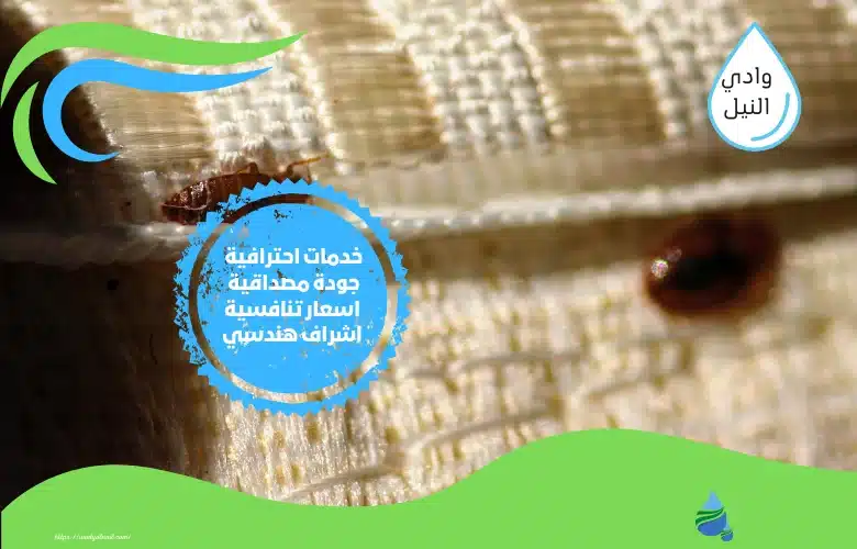 شركات مكافحة حشرات بالقاهرة