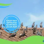 شركة تركيب طارد حمام بالمدينة المنورة