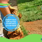 شركة تنسيق حدائق في أبوظبي