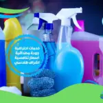 شركة تنظيف الملاحق في الرياض