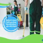 شركة تنظيف بالقاهرة