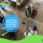 شركة تنظيف ملاحق في دبي