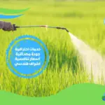 شركة رش مبيدات بالطائف