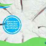 شركة عزل فوم بمحايل عسير