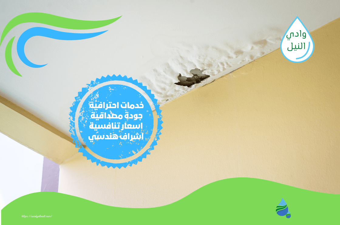 افضل شركة كشف تسربات المياه بحي العزيزية الرياض0557325438