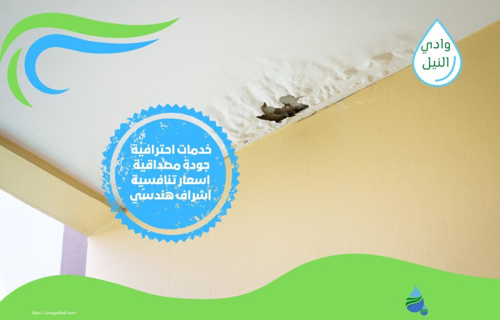 شركة كشف تسربات المياه بشقراء