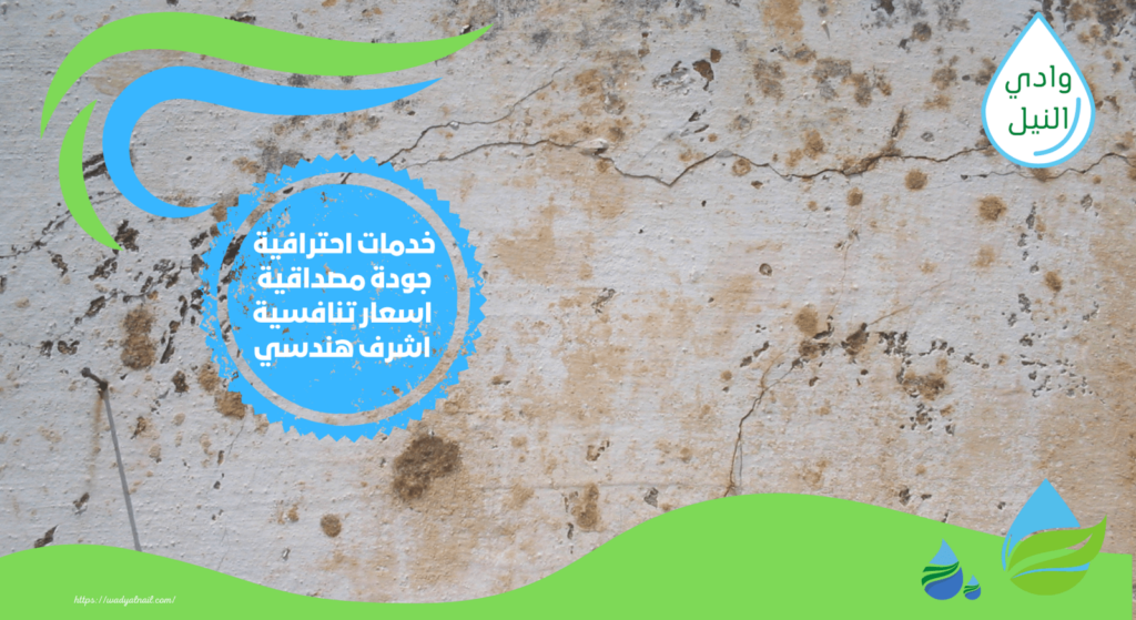 شركة معالجة رطوبة الجدران باسيوط