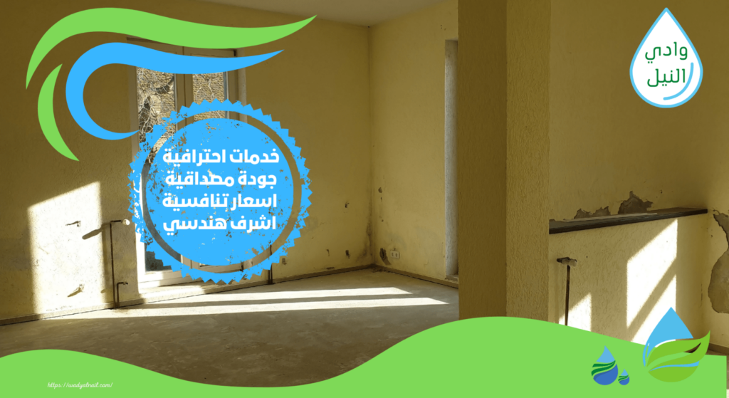 شركة معالجة رطوبة الجدران باسيوط