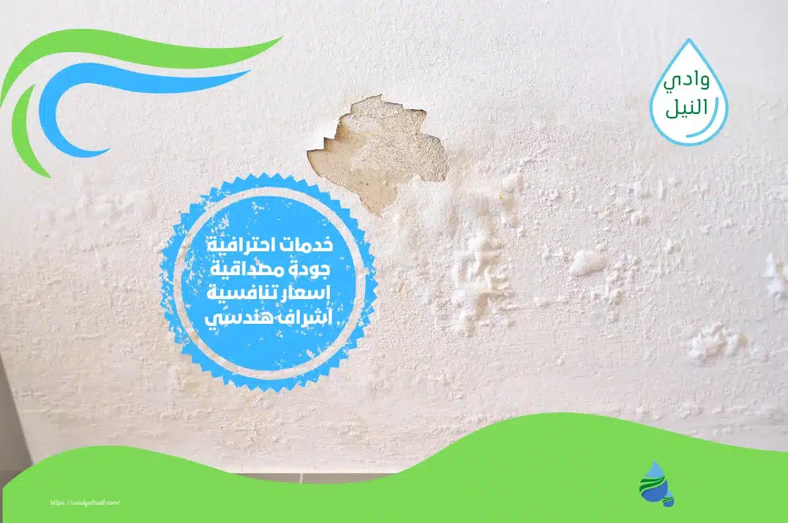 شركة معالجة رطوبة بالجبيل