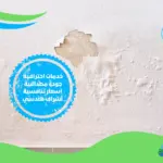 شركة معالجة رطوبة ببورسعيد