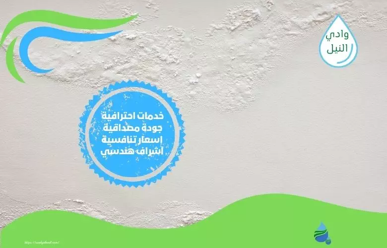 شركة معالجة رطوبة بجازان