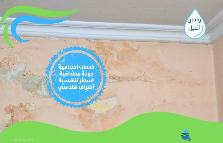 شركة معالجة رطوبة في جازان