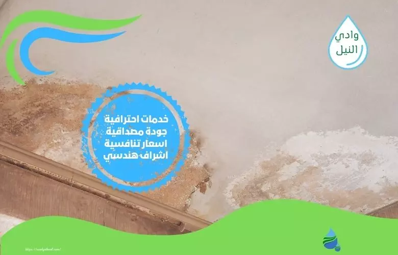 شركة معالجة رطوبة بجازان