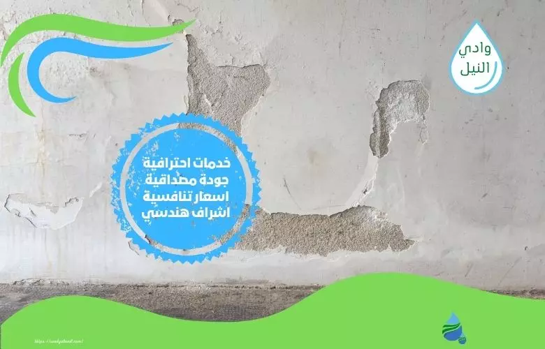 شركة معالجة رطوبة في جازان