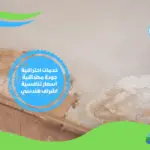 شركة معالجة رطوبة براس البر