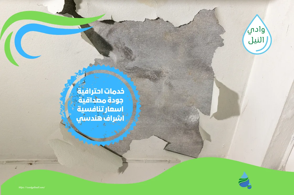 شركة معالجة رطوبة بقطر