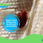 شركة مكافحة بق الفراش بالدمام