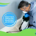 شركة مكافحة حشرات القاهرة