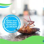 شركة مكافحة حشرات الكويت