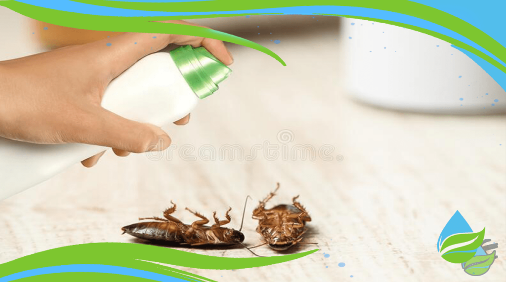 أفضل شركة مكافحة حشرات بالإسكندرية