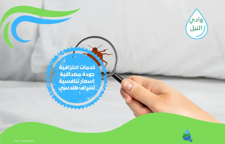 افضل شركة مكافحة حشرات بالاحساء