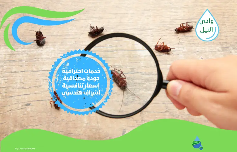 أسعار شركة مكافحة حشرات بالاحساء