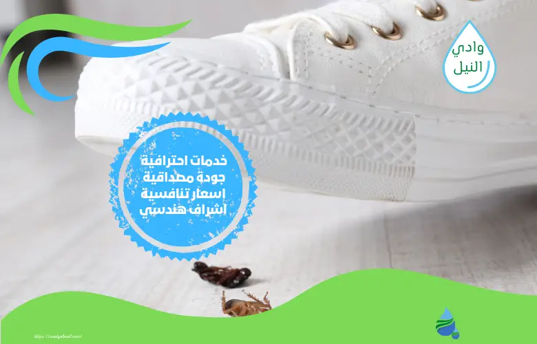 أسعار شركة مكافحة حشرات بالخبر