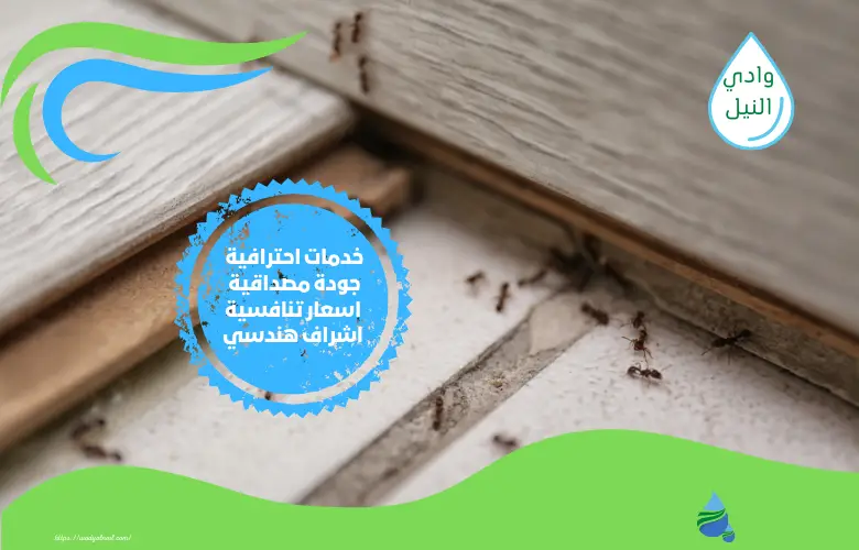 اسعار شركة مكافحة حشرات بالدمام