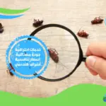 شركة مكافحة حشرات بالمدينة المنورة