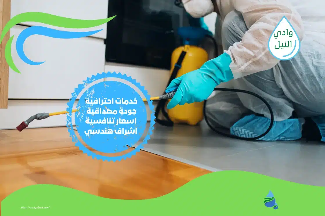 شركة مكافحة حشرات بامبابة