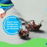 شركة مكافحة حشرات ببني سويف