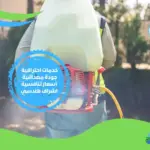 شركة مكافحة حشرات بدهب