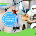 شركة مكافحة حشرات بعين شمس