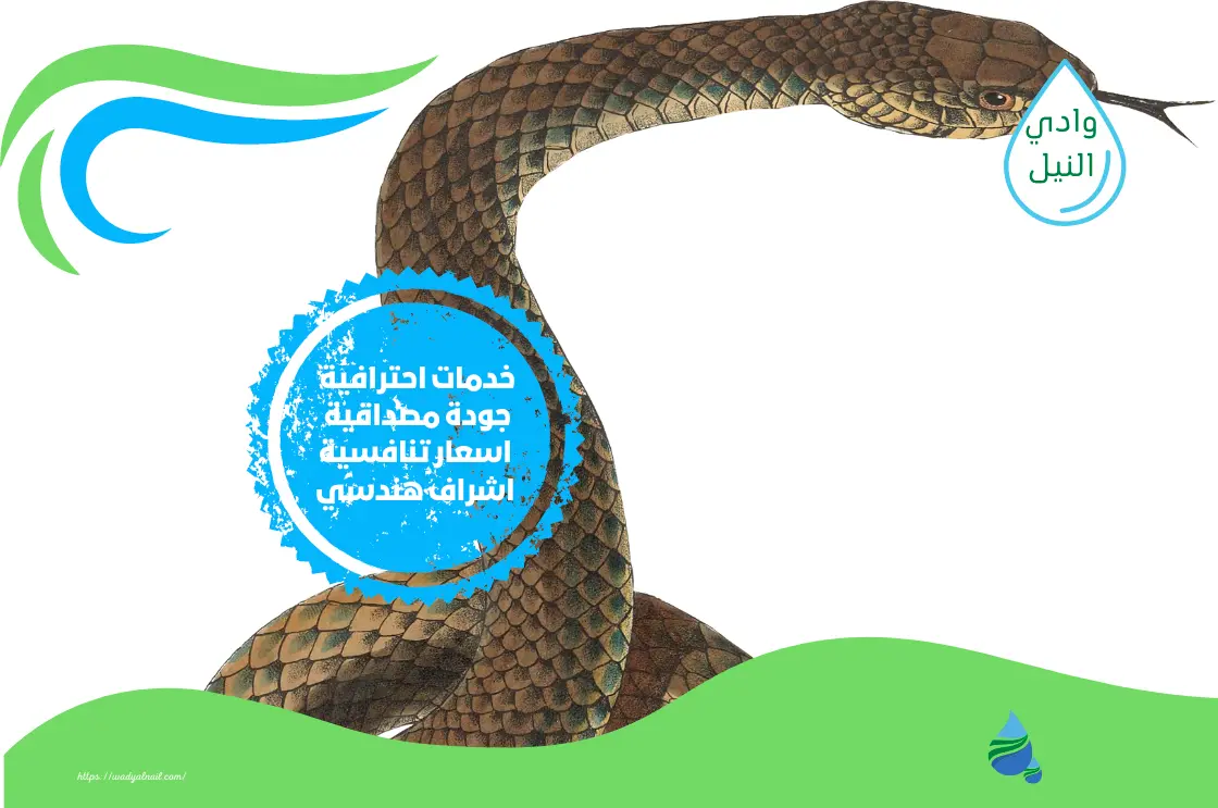 شركة مكافحة زواحف بالقطيف