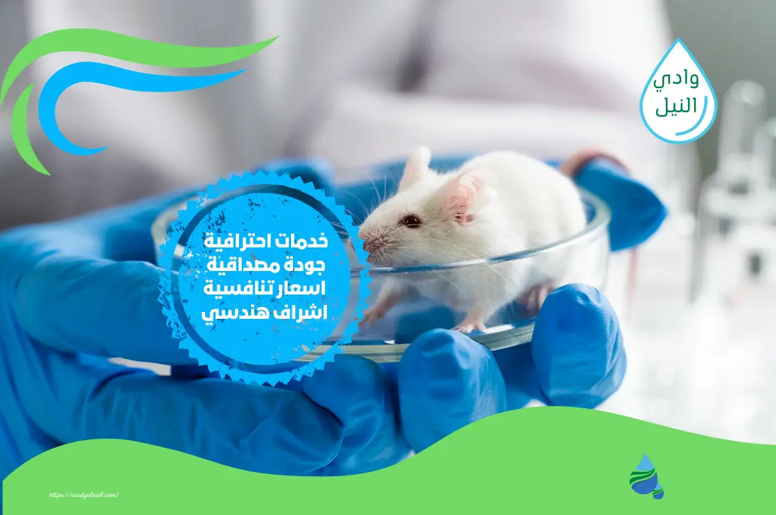 شركة مكافحة فئران بالقطيف