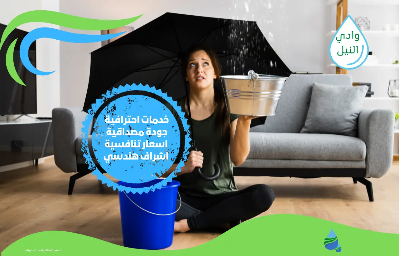 كشف تسربات المياه بالمنصورة01061053794
