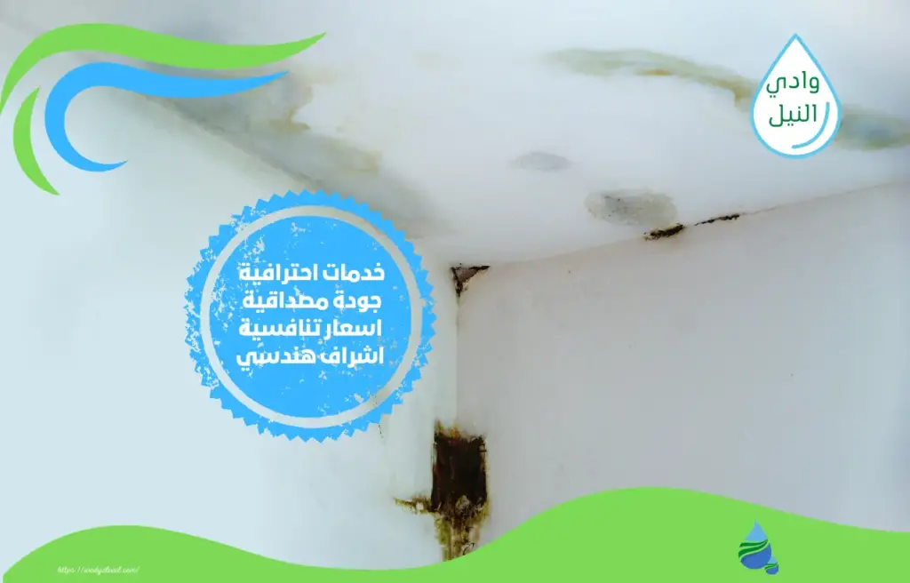 ارخص شركة كشف تسربات المياه بالمنصورة