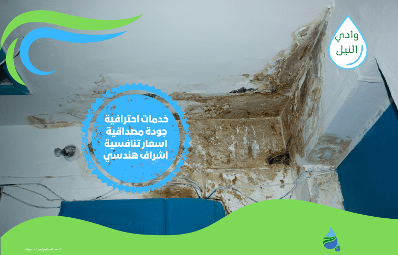 كشف تسربات المياه بحي السلي الرياض