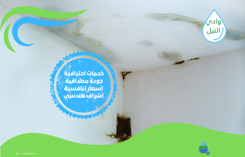 كشف تسربات المياه بحي السويدي الرياض