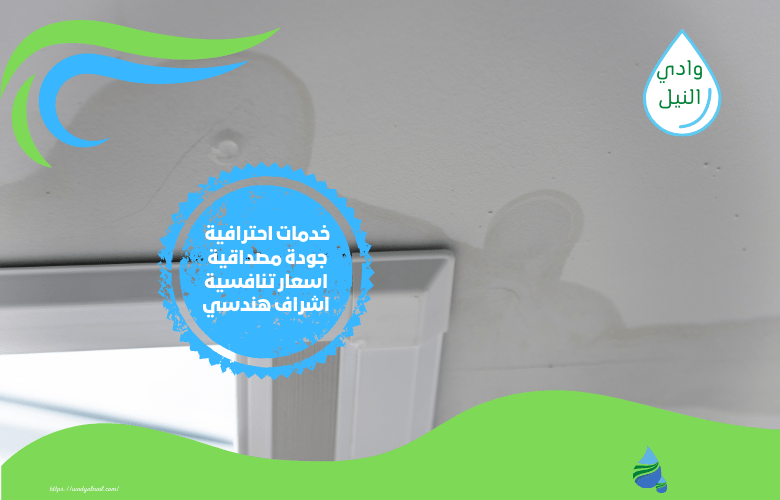 كشف تسربات المياه بحي وادي لبن الرياض