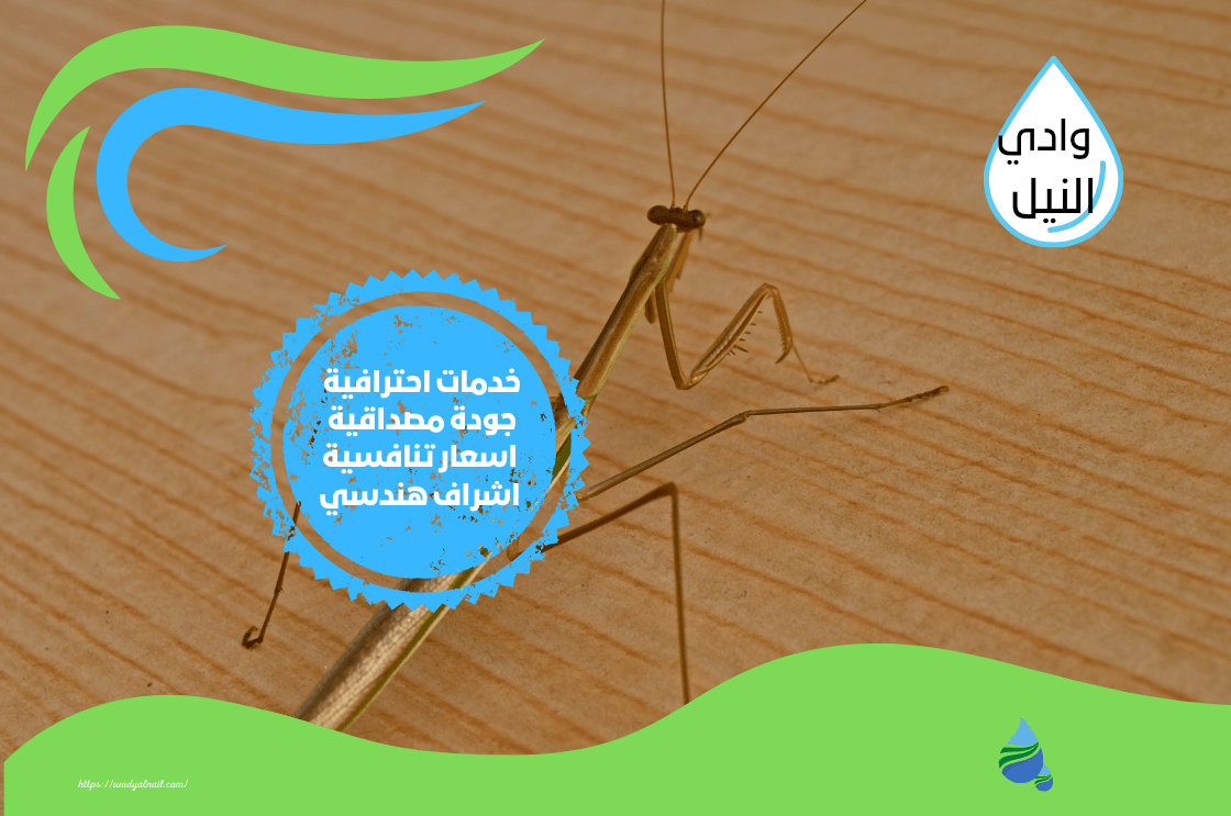 محل مكافحة حشرات بالخبر