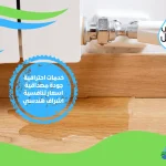 شركة كشف تسربات المياه بمديتني