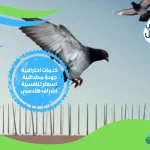 شركة تركيب طارد حمام بالهفوف