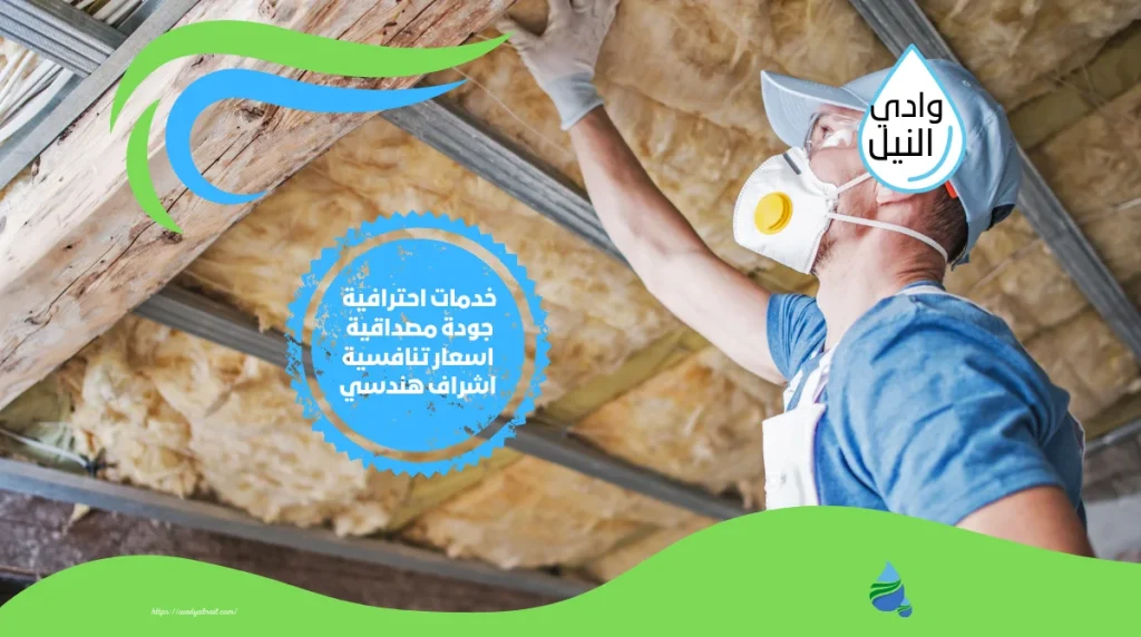 شركة عزل اسطح باسوان